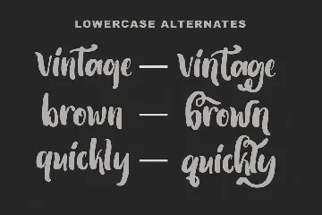 The Brown Monte | Vintage Font