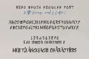 NerdBrush SVG Font