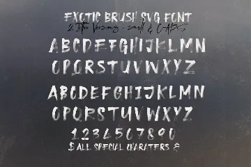 Exotic Brush & SVG Font