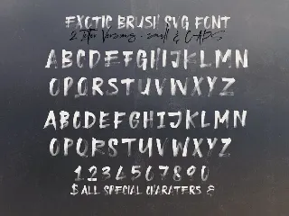 Exotic Brush & SVG Font