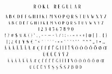 Roku - Modern Sans Serif font