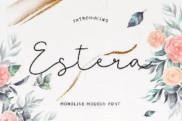 Estera Monoline Modern Font