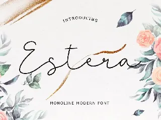 Estera Monoline Modern Font