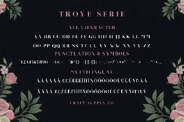 Troye Font Trio - Clean & Luxury