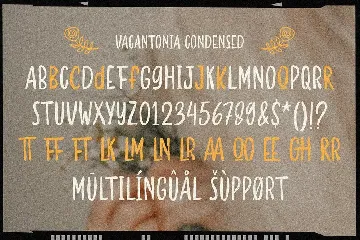 Vacantonia - Brush Display Font Pairing