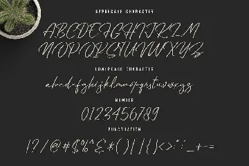 Ensthein - Signature Script font