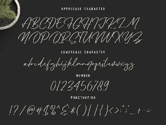 Ensthein - Signature Script font