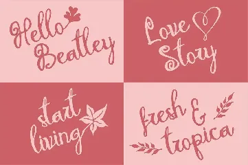 Melodina Script font