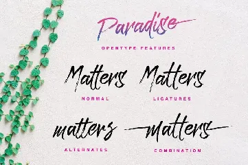 Paradise Typeface font