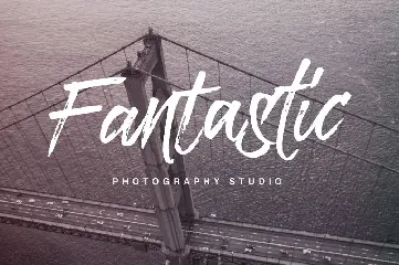 Paradise Typeface font