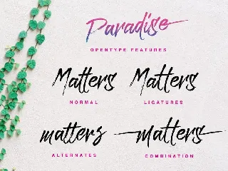 Paradise Typeface font