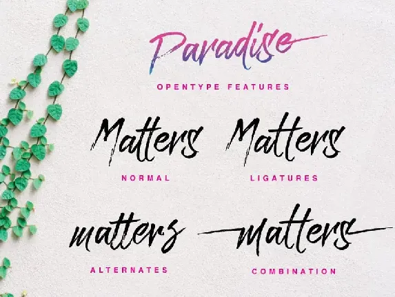 Paradise Typeface font