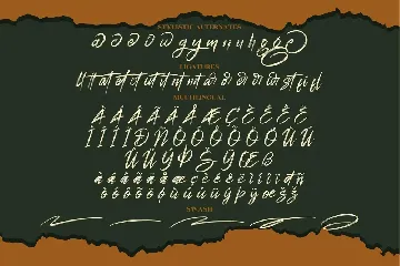 Tametogde Brush font