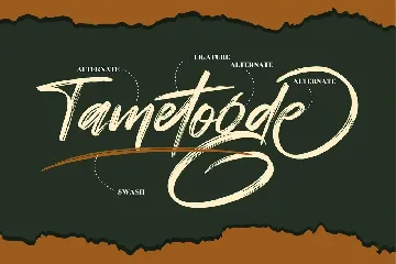 Tametogde Brush font