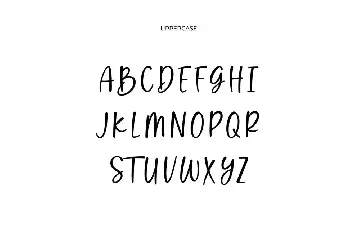 Wisdom Vacation Calligraphy Font