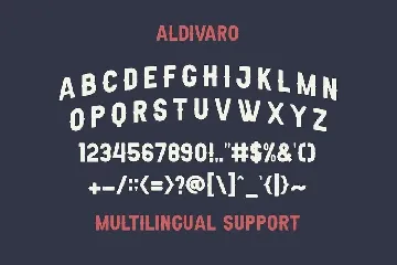 Aldivaro Font Family + 4 Style Fonts