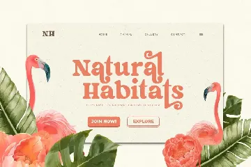 Kaolin - Fancy Retro Serif font