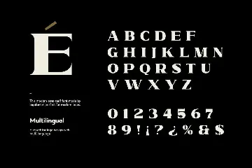 Mocer - Modern Font