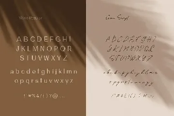 Marie Curie - Sans & Script font