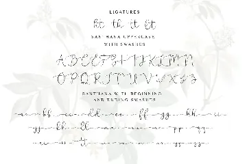 Santhana font