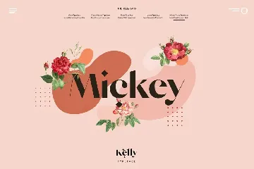 Kelly Regular - Gorgeous Sans Serif font