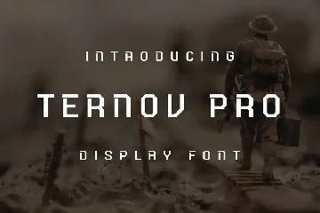 Ternov Pro Font