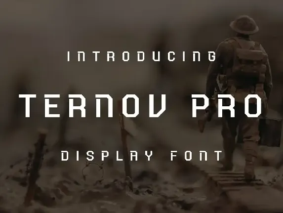 Ternov Pro Font