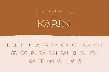 Elegant Karin - Fashion Stylish Typeface font