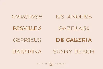 Elegant Karin - Fashion Stylish Typeface font