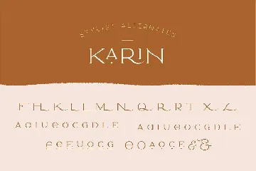 Elegant Karin - Fashion Stylish Typeface font