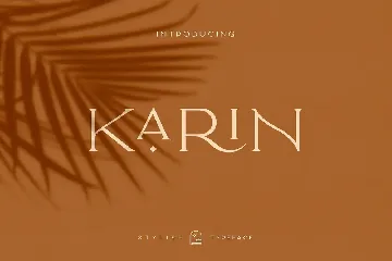 Elegant Karin - Fashion Stylish Typeface font