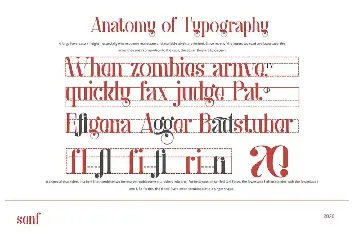 Anaximander Serif Font