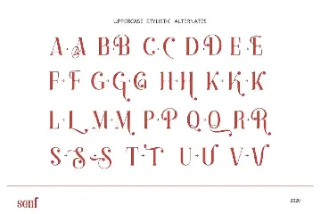 Anaximander Serif Font