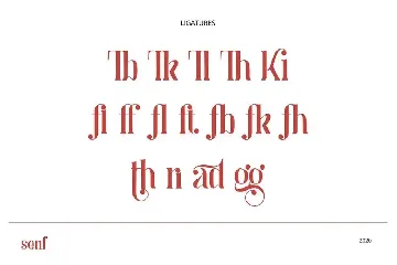 Anaximander Serif Font