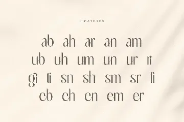 Belgium - Unique Feminine Display Font