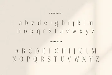 Belgium - Unique Feminine Display Font