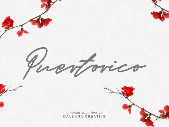 Soulitair Signature Font