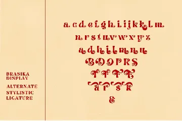 Brasika Display font