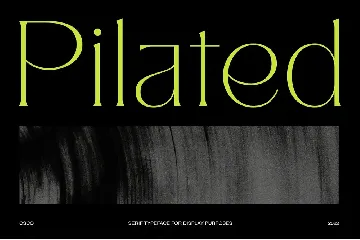 Pilated - Serif Typeface font