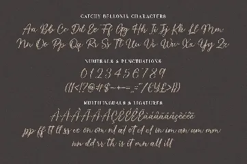 Catchy Bellonia font