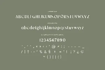 Antolia Buchery Feminine Sans Serif Font