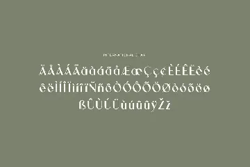 Antolia Buchery Feminine Sans Serif Font