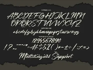 Beternite Limited Signature font