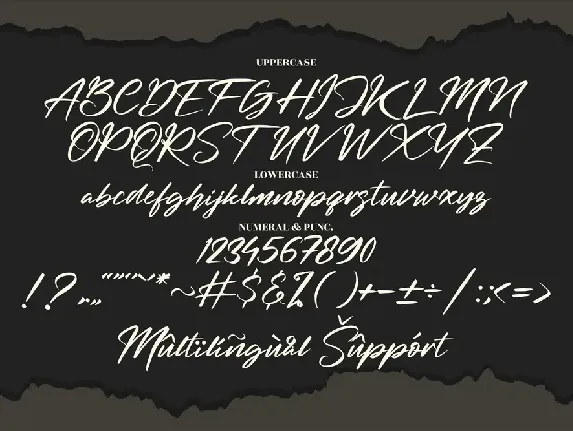 Beternite Limited Signature font