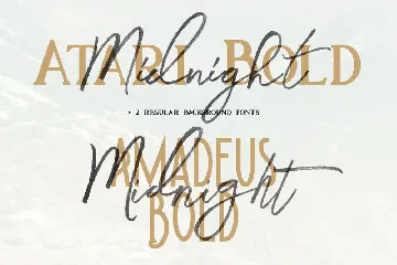 Midnight Brush & SVG Font