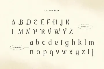 Algebra - Unique Modern Display Font