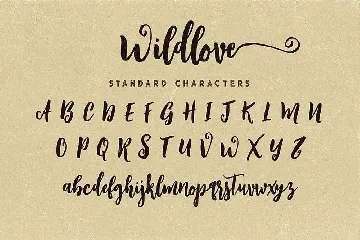 Wildlove Script Font