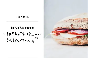 Hoagie Brush Font