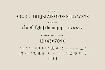 Agafia Rosdina Modern Serif Font