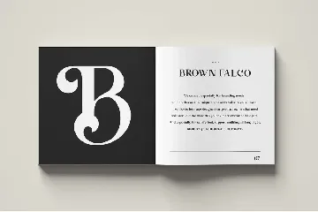 Brown Falco | Classy Serif Font